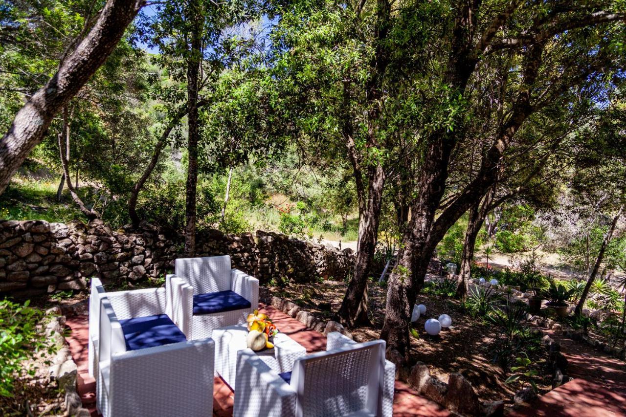 Вилла Casa Saltara (Adults Only) Санта-Тереза-Галлура Экстерьер фото