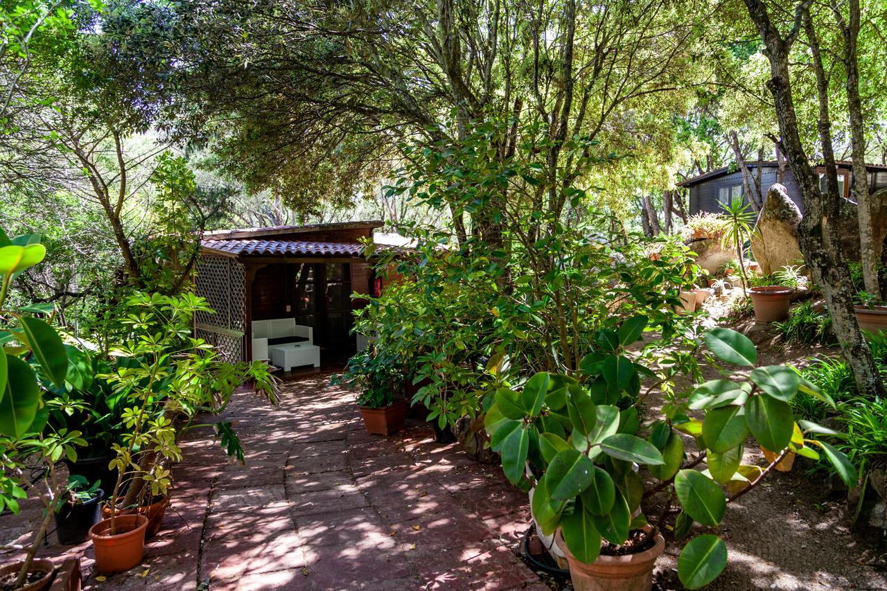 Вилла Casa Saltara (Adults Only) Санта-Тереза-Галлура Экстерьер фото