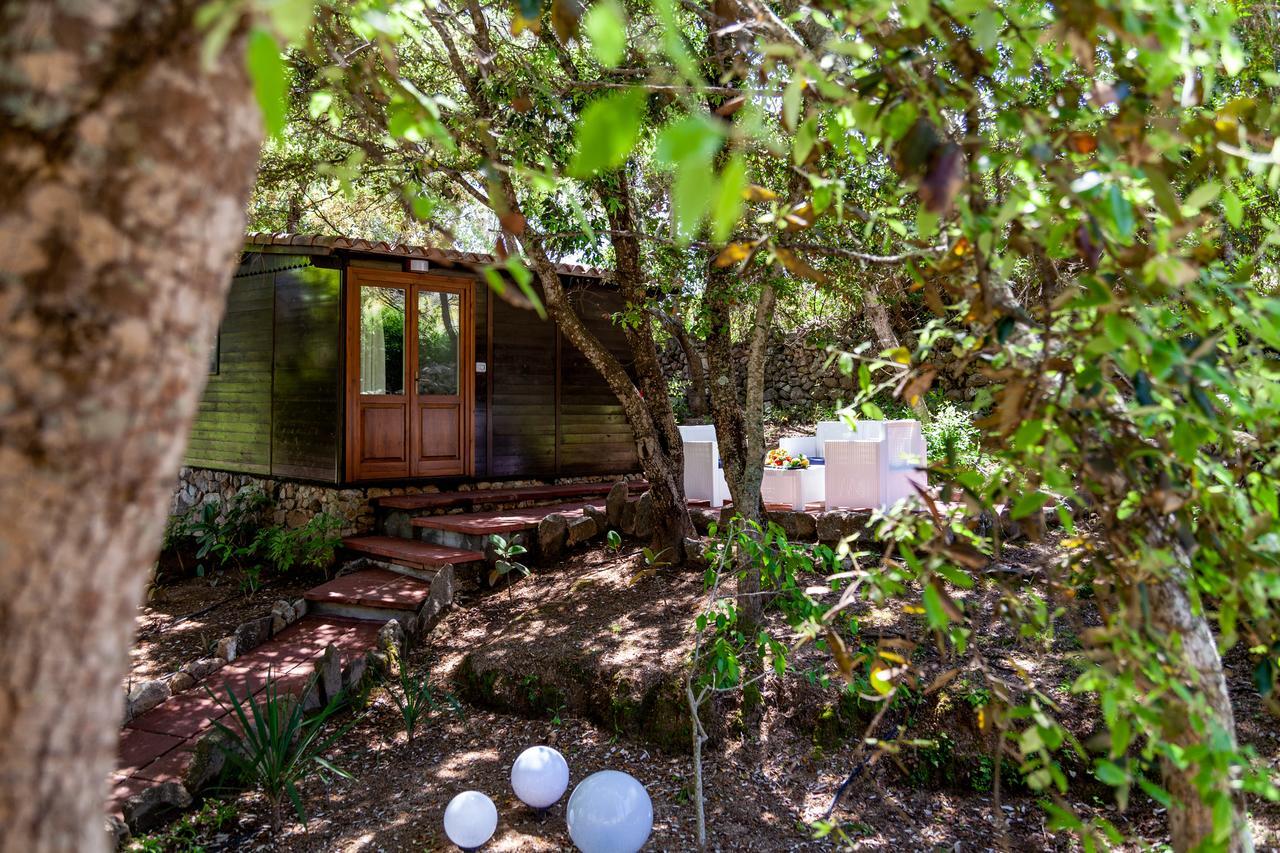 Вилла Casa Saltara (Adults Only) Санта-Тереза-Галлура Экстерьер фото