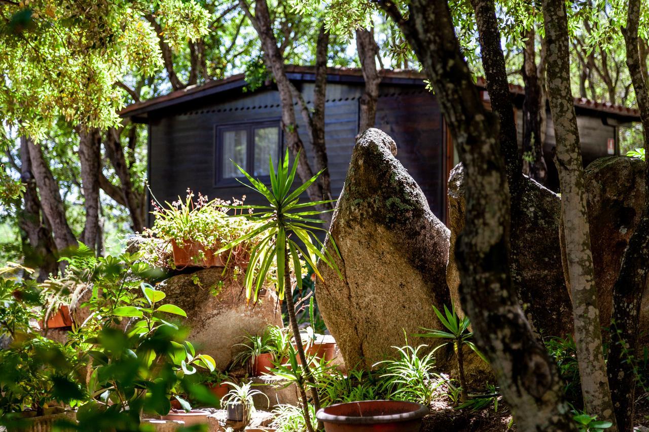 Вилла Casa Saltara (Adults Only) Санта-Тереза-Галлура Экстерьер фото
