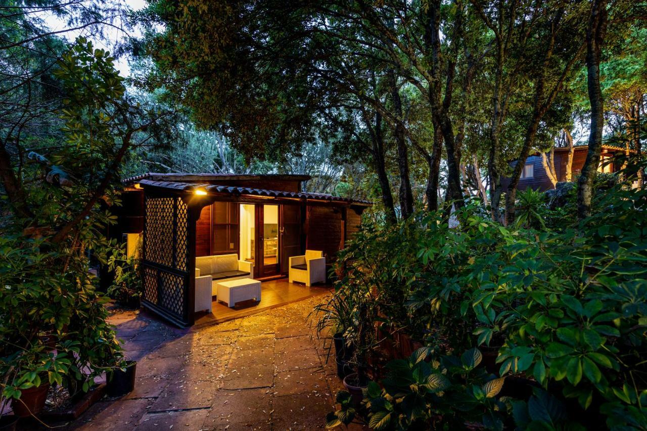 Вилла Casa Saltara (Adults Only) Санта-Тереза-Галлура Экстерьер фото